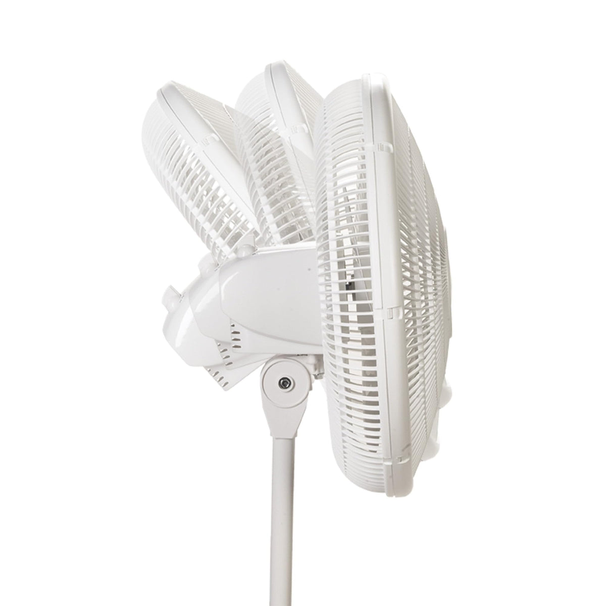 16" Oscillating 3-Speed Pedestal Fan White N3644