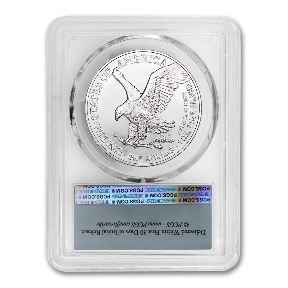 1 oz American Silver Eagle Coin MS-70 W3084