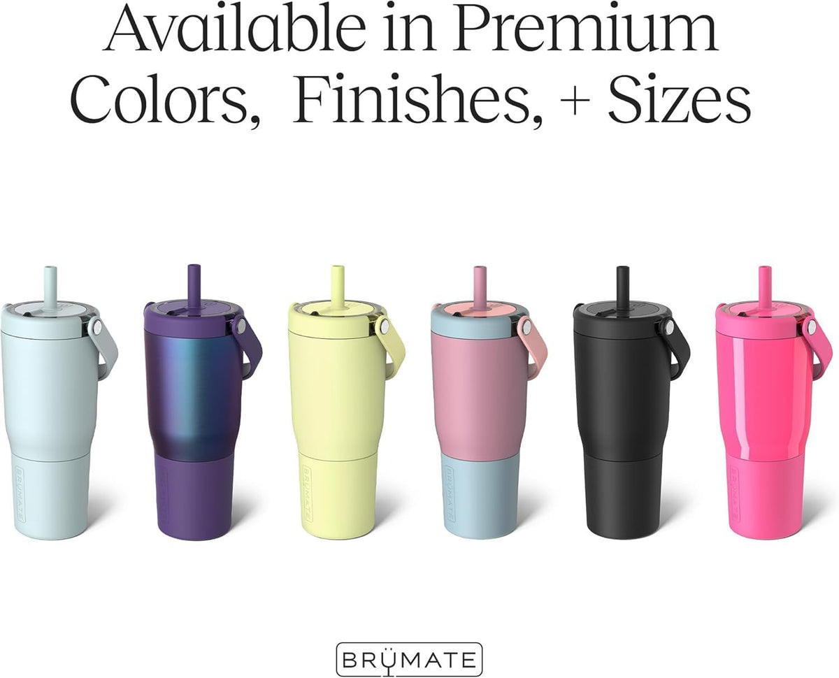 25oz Leakproof Stainless Steel Travel Tumbler with Handle & Straw L6076