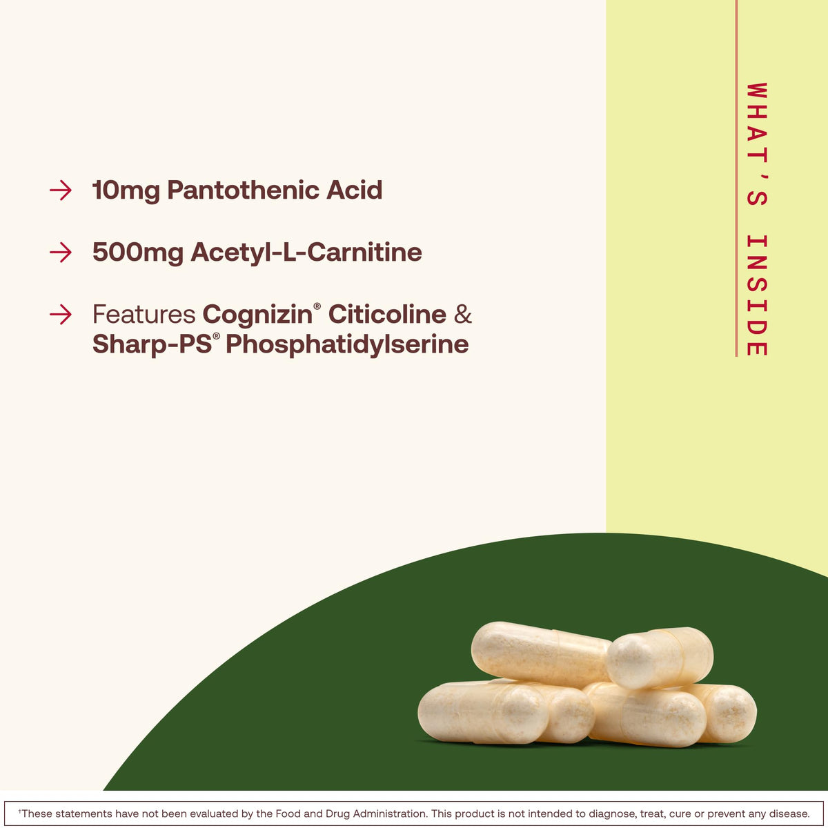 120 Capsules Neuro-Nutrient O59558