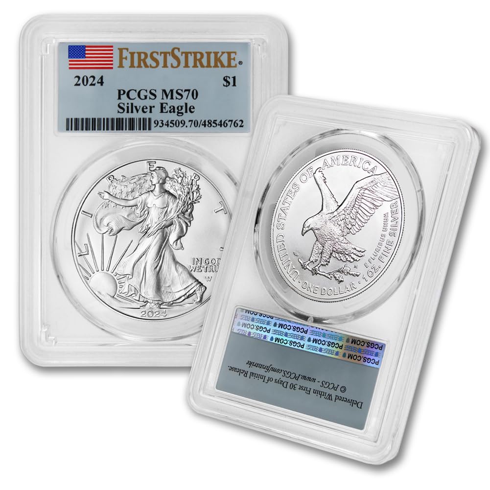 1 oz American Silver Eagle Coin MS-70 W3084