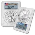 1 oz American Silver Eagle Coin MS-70 W3084