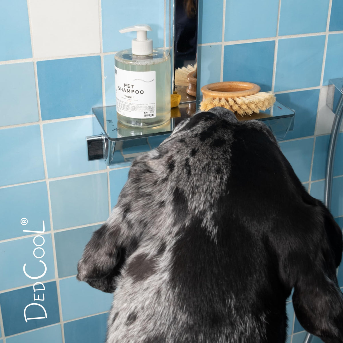Pet Shampoo 16.9 fl oz F657436