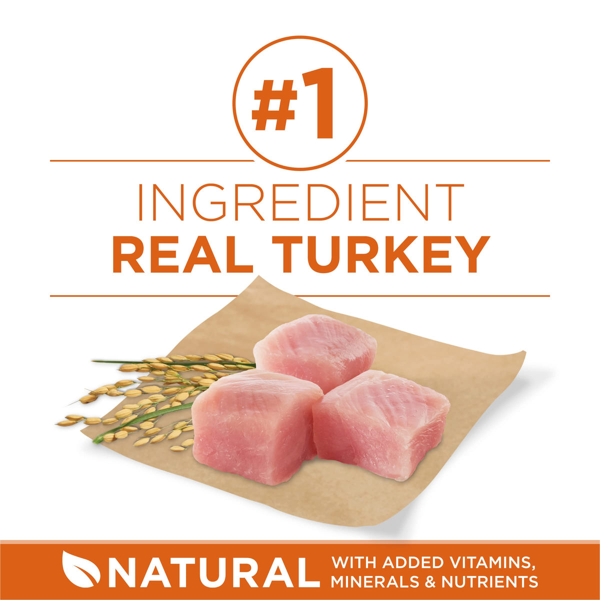 Healthy Weight Dry Dog Food, Real Turkey, 31.1 lb Bag N470435