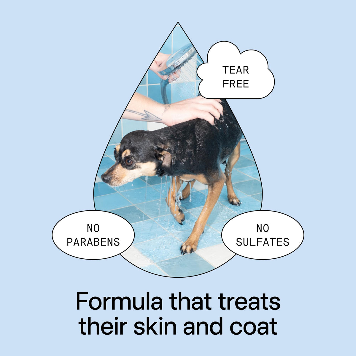 Pet Shampoo 16.9 fl oz F657436