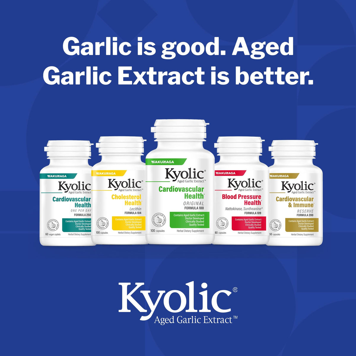 Aged Garlic Extract 300 Capsules H588
