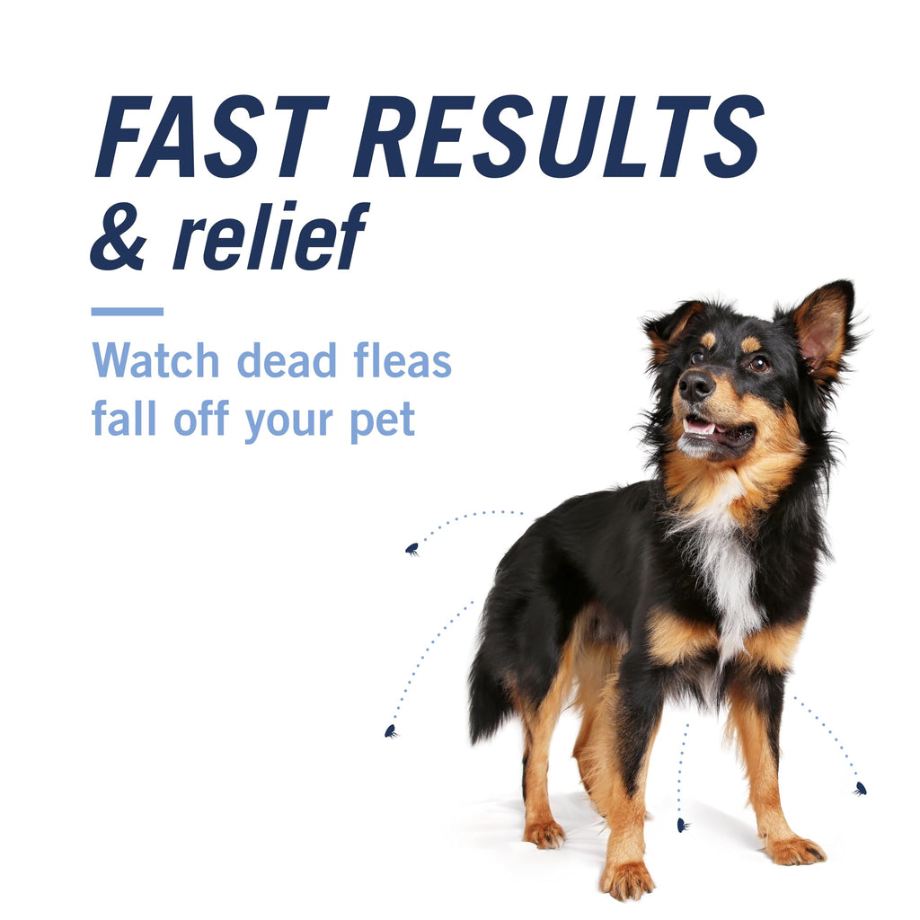 Oral Flea Tablets Dogs 2-25 lbs, Nitenpyram, 6-Dose H5066
