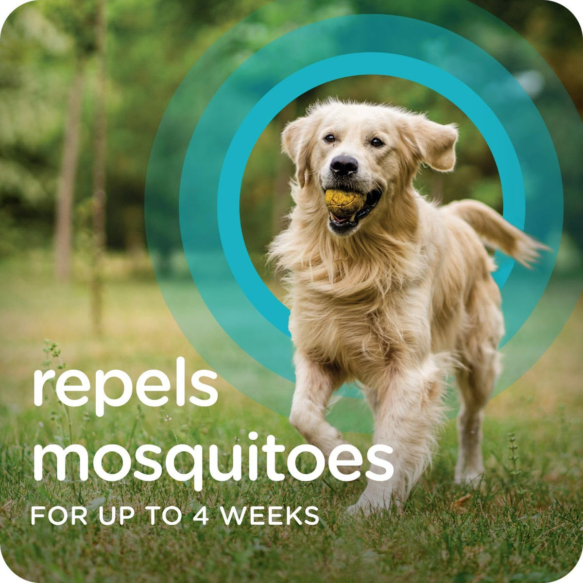 Flea & Tick Topical Dogs 7-33 lbs 3-Month A235427