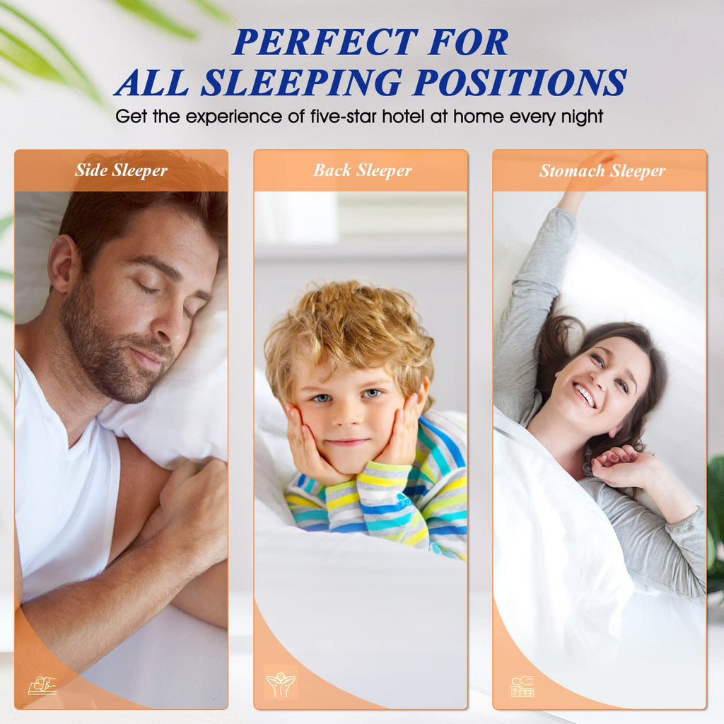 King Size Bed Pillows Set of 2 V3828