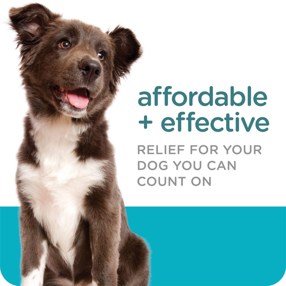 Flea & Tick Topical Dogs 7-33 lbs 3-Month A235427