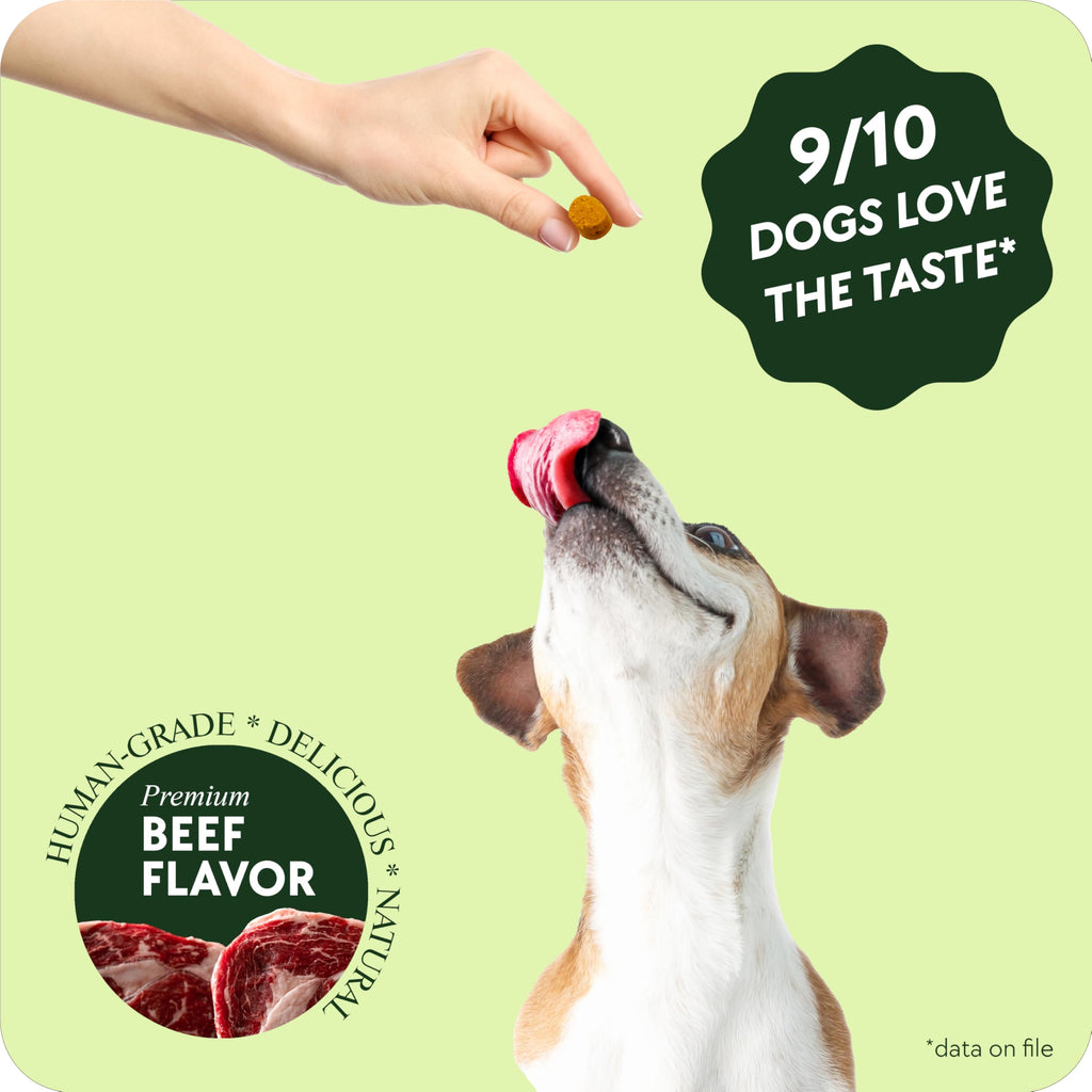 Chewable Flea and Tick Prevention for Dogs 120 Chews Beef Z95767