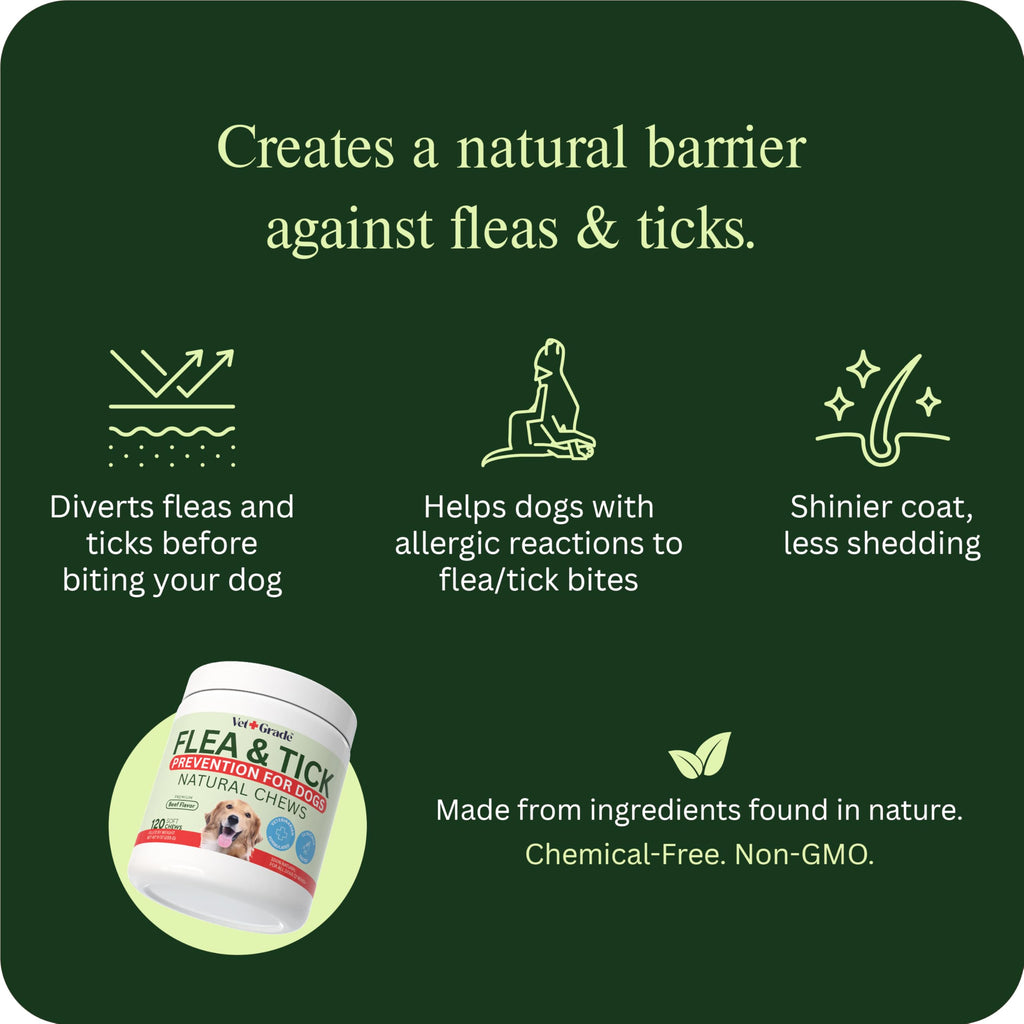 Chewable Flea and Tick Prevention for Dogs 120 Chews Beef Z95767
