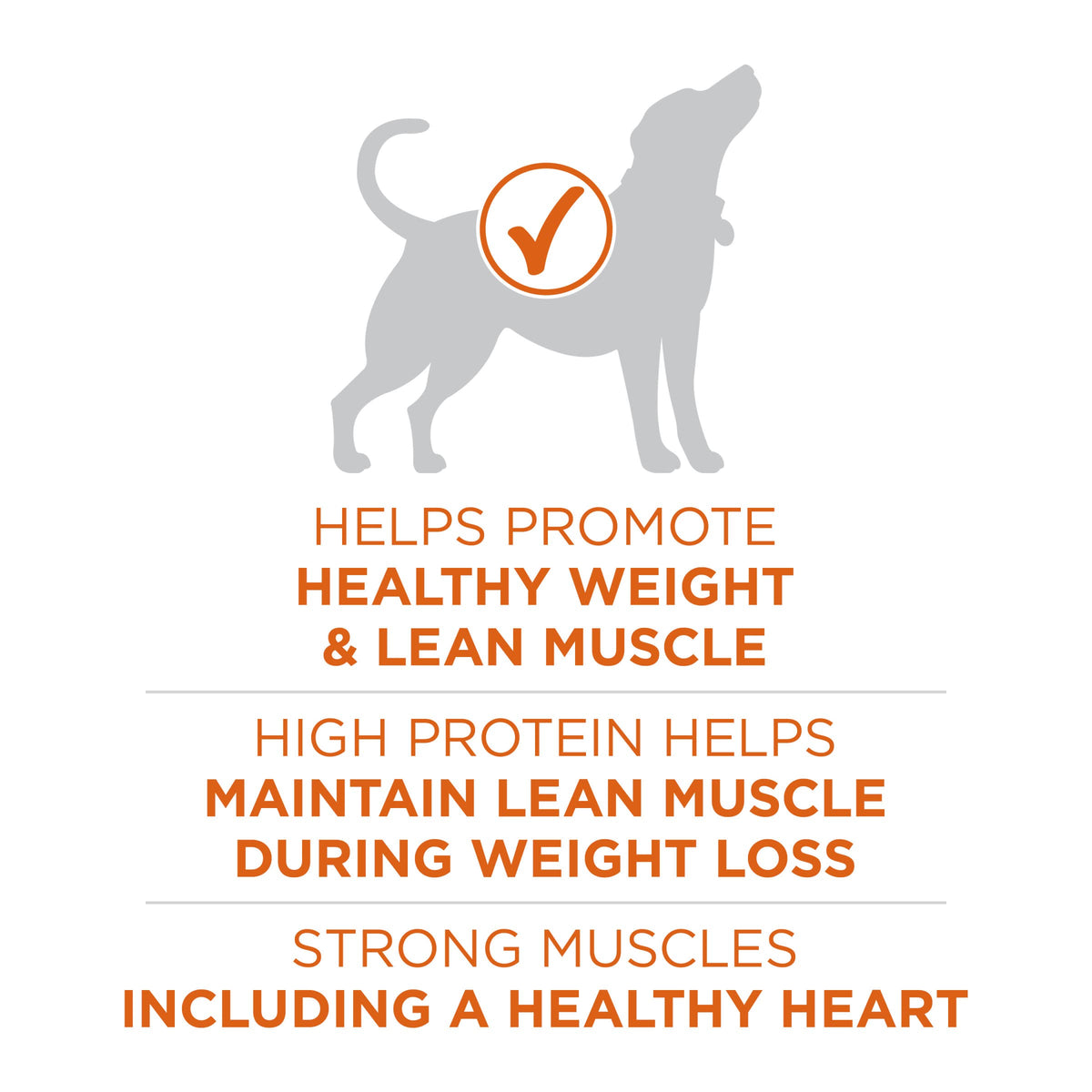 Healthy Weight Dry Dog Food, Real Turkey, 31.1 lb Bag N470435