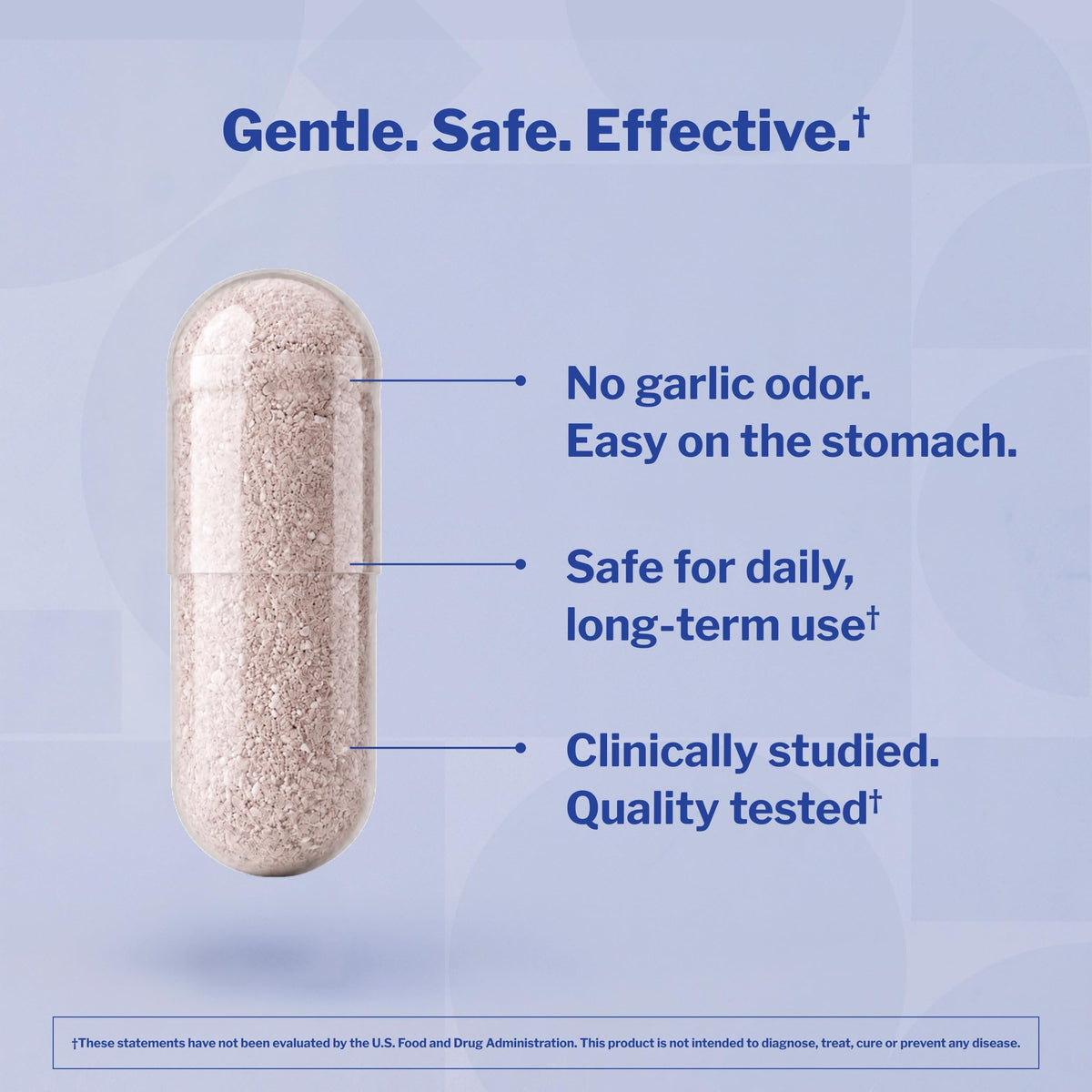 Aged Garlic Extract 300 Capsules H588