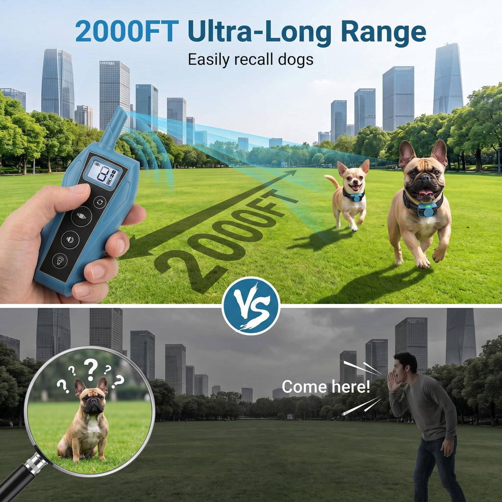 Vibration Dog Training Collar with Remote I809