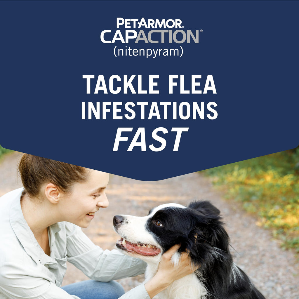 Oral Flea Tablets Dogs 2-25 lbs, Nitenpyram, 6-Dose H5066