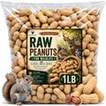 Roasted Unsalted Peanuts in Shell 1 lb Bag M337203