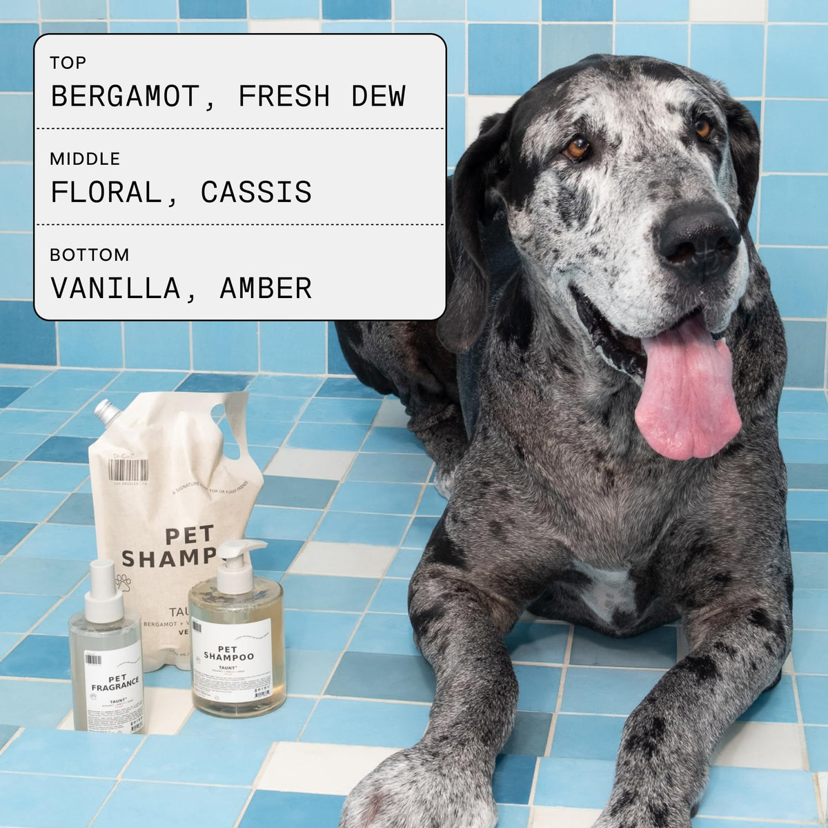Pet Shampoo 16.9 fl oz F657436