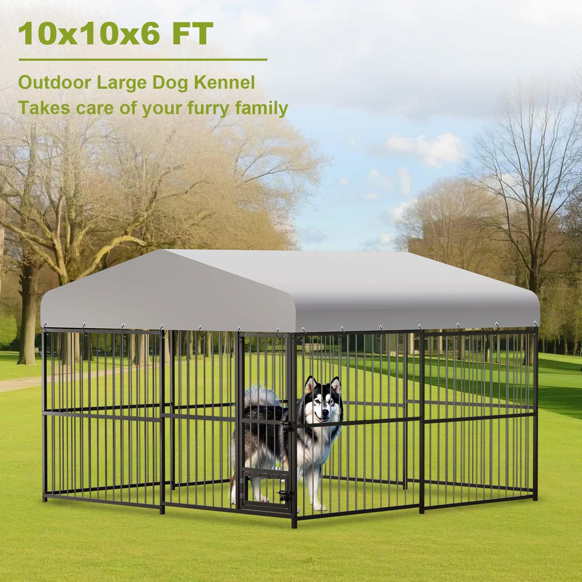 10 x 10FT Heavy Duty Metal Outdoor Dog Kennel with Roof D819