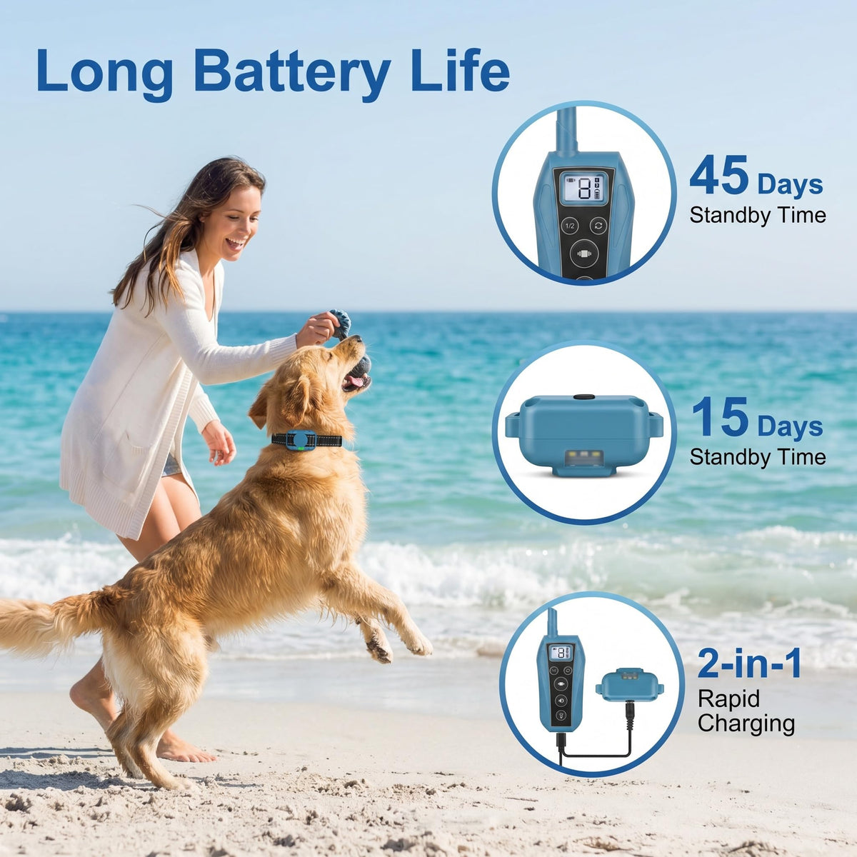 Vibration Dog Training Collar with Remote I809