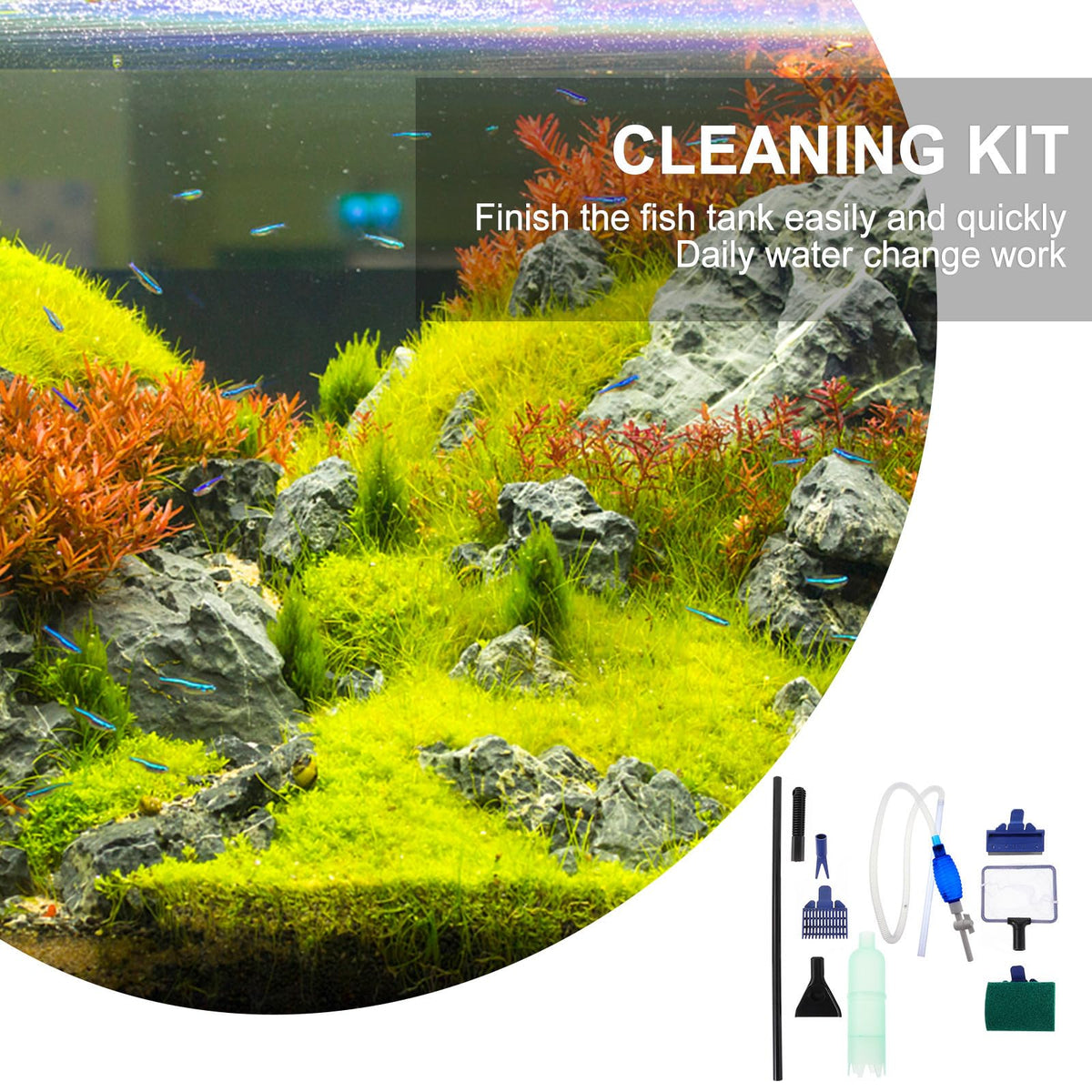 5 in 1 Plastic Cleaning Brush Set Q2122