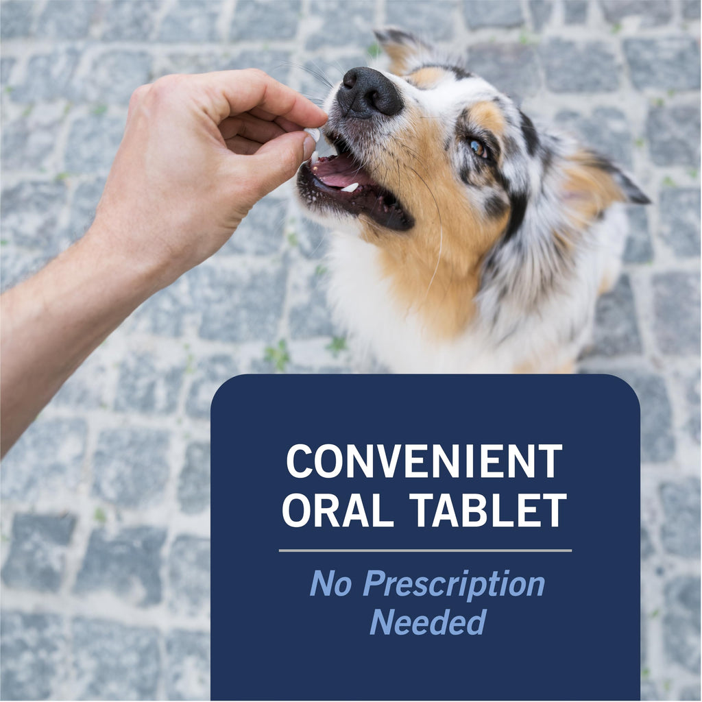 Oral Flea Tablets Dogs 2-25 lbs, Nitenpyram, 6-Dose H5066