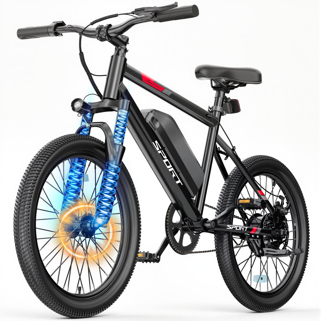 1000W Electric Bike Q2769