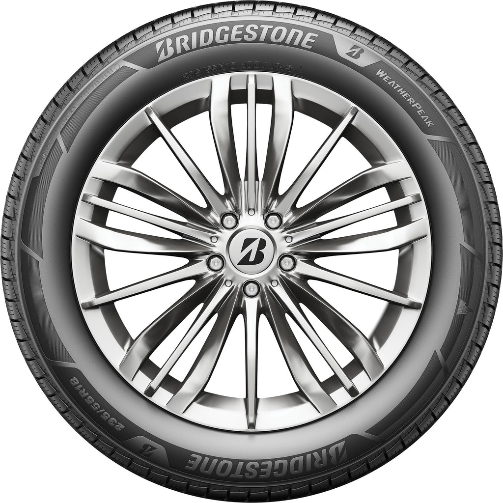 All Weather 265/60R18 110V Passenger Tire J97797