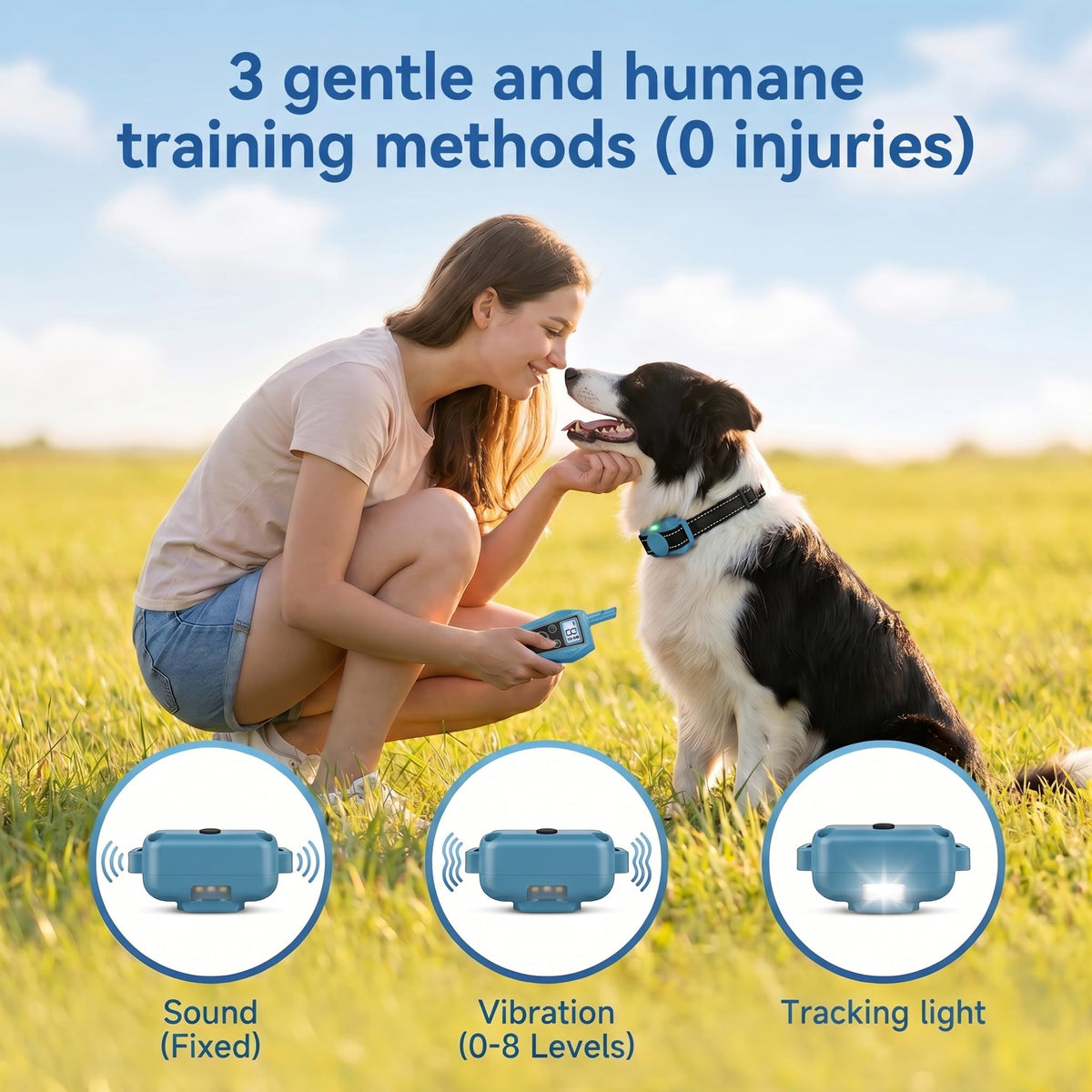 Vibration Dog Training Collar with Remote I809