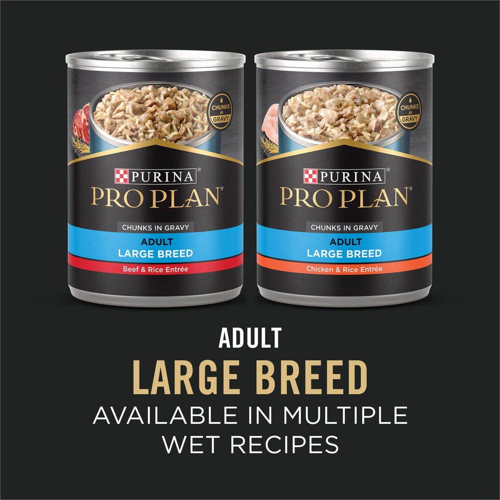 Chicken & Rice Dry Dog Food 34 lb Bag F547451