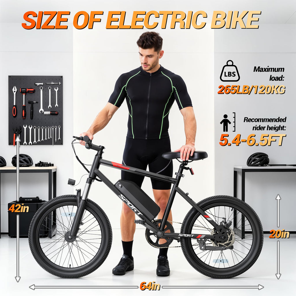 1000W Electric Bike Q2769
