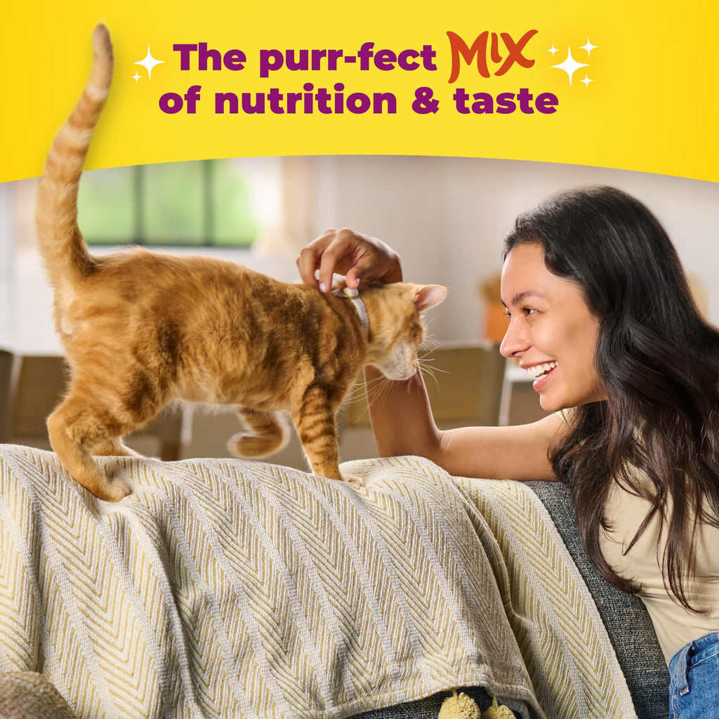 Indoor Health Dry Cat Food 6.3 Pound Bag H575353