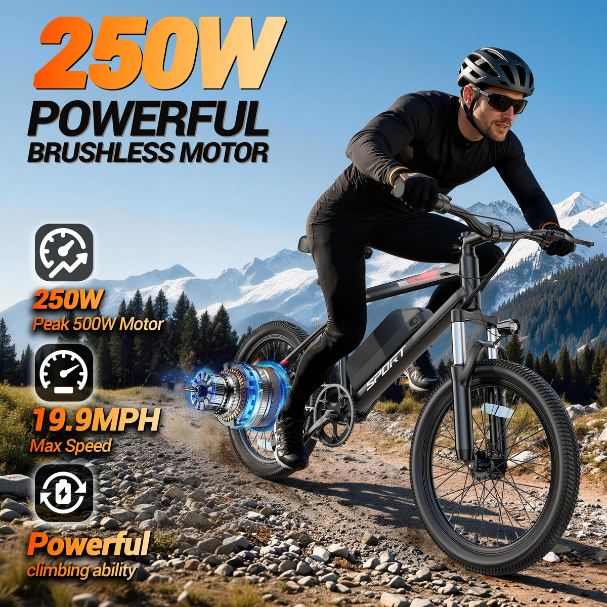 1000W Electric Bike Q2769