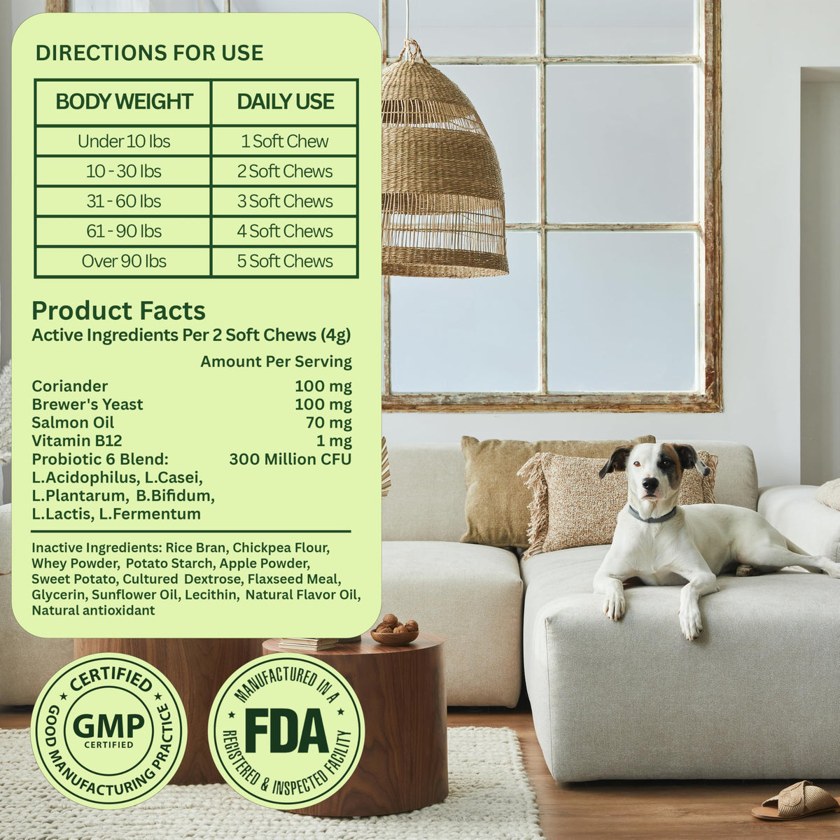 Chewable Flea and Tick Prevention for Dogs 120 Chews Beef Z95767